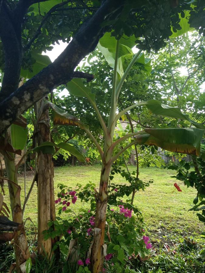 Sweet Home Kiwengwa  Bagian luar foto