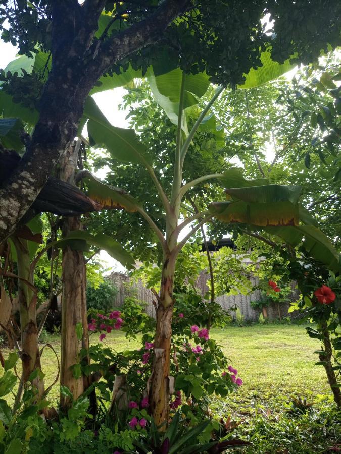 Sweet Home Kiwengwa  Bagian luar foto